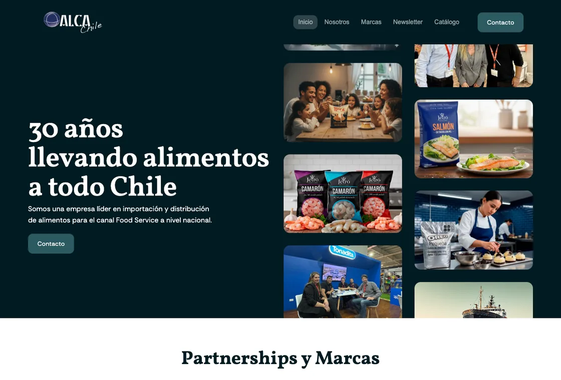 Sitio web de Alca Chile